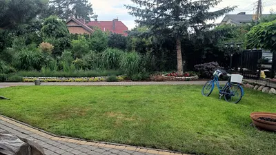 Dar-Plast Architektura Zieleni